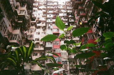 Hong-Kong Hong-Kong