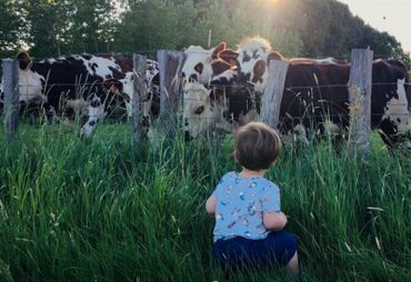 Faut-il arrêter de manger des animaux? Faut-il arrêter de manger des animaux?