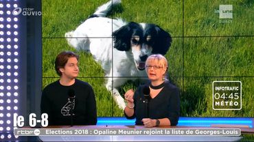 Les solutions pour l'aboiement intempestif de votre chien Les solutions pour l'aboiement intempestif de votre chien