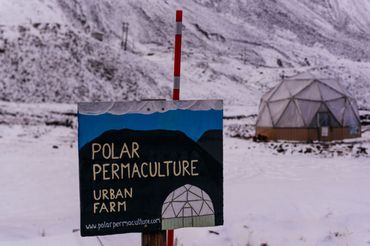 Une petite ferme au beau milieu de l'Arctique, sur l'île norvégienne de Svalbard. Une petite ferme au beau milieu de l'Arctique, sur l'île norvégienne de Svalbard.