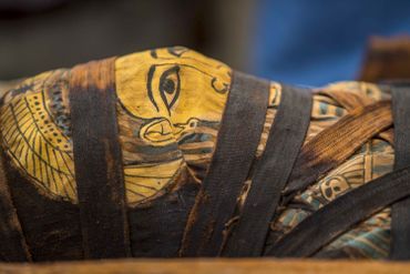 Saqqara: l'Egypte dévoile 59 sarcophages intacts, "début d'une grande découverte" Saqqara: l'Egypte dévoile 59 sarcophages intacts, "début d'une grande découverte"