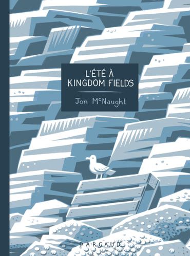 "L’été à Kingdom Fields" de Jon McNaught (Dargaud) "L’été à Kingdom Fields" de Jon McNaught (Dargaud)