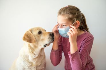 Adopter un animal de compagnie aujourd'hui : une formule revisitée plus efficace Adopter un animal de compagnie aujourd'hui : une formule revisitée plus efficace
