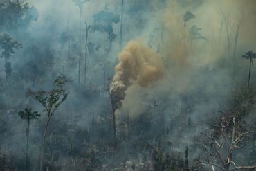 Incendies en Amazonie: survol des régions concernées Incendies en Amazonie: survol des régions concernées