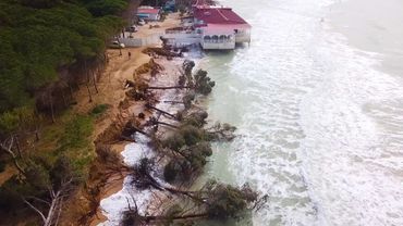 La plage d’Eraclea Minoa pendant la tempête en hiver qui a fait tomber les arbres de la pinède. La plage d’Eraclea Minoa pendant la tempête en hiver qui a fait tomber les arbres de la pinède.