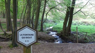 La Promenade de la Fontaine qui bout et du Bois du Prince La Promenade de la Fontaine qui bout et du Bois du Prince