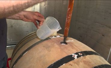 Philippe Minne prélève un échantillon de sa bière en fût de Bourgogne après 6 mois de garde, elle devrait y rester un an en tout Philippe Minne prélève un échantillon de sa bière en fût de Bourgogne après 6 mois de garde, elle devrait y rester un an en tout