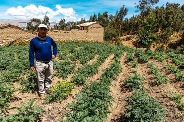 Les habitants de Llupa, comme Saul et sa famille, vivent essentiellement de leurs cultures Les habitants de Llupa, comme Saul et sa famille, vivent essentiellement de leurs cultures