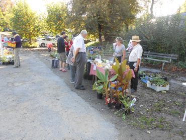 Les rues du village de Sendrogne accueille, le 19/10, une bourse aux plantes organisée par et pour des particuliers Les rues du village de Sendrogne accueille, le 19/10, une bourse aux plantes organisée par et pour des particuliers