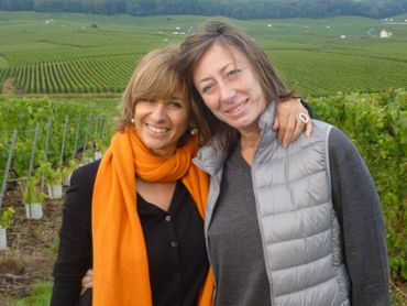 Les vins de champagne Les vins de champagne