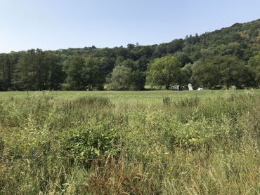 "Devant Rosière", un site apprécié également des "campeurs sédentaires"... "Devant Rosière", un site apprécié également des "campeurs sédentaires"...