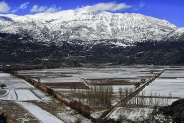 Environs du lac Stymphale, près de Corinthe, sous la neige, le 08 janvier 2019 Environs du lac Stymphale, près de Corinthe, sous la neige, le 08 janvier 2019