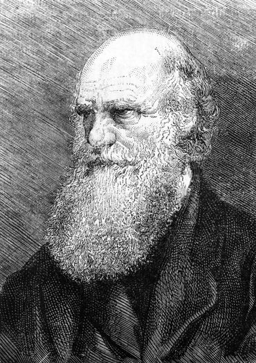 SCIENCE-BIOLOGY-HISTORY-DARWIN SCIENCE-BIOLOGY-HISTORY-DARWIN