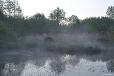 La réserve Ru Milhoux La réserve Ru Milhoux