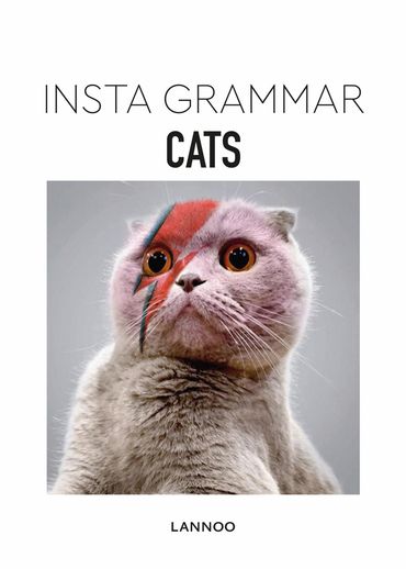 Insta Grammar Insta Grammar
