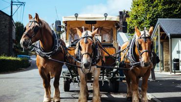 Profitez de la beauté des paysages ardennais en montant à bord de ces chariots à fondue ! Dès l'automne... le chauffage est installé...pour les plus frileux.. - © Tous droits réservés Profitez de la beauté des paysages ardennais en montant à bord de ces chariots à fondue ! Dès l'automne... le chauffage est installé...pour les plus frileux.. - © Tous droits réservés