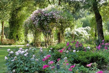 Les chemins de la rose Les chemins de la rose