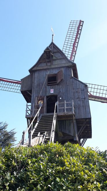 Le Moulin du Cat Sauvage Le Moulin du Cat Sauvage
