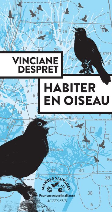 Vinciane Despret : la vie à travers les yeux des oiseaux Vinciane Despret : la vie à travers les yeux des oiseaux
