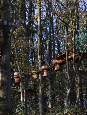 Nous avons d'abord été interpellés par de drôles de champignons XXL qui poussent dans les arbres du Natura Parc Nous avons d'abord été interpellés par de drôles de champignons XXL qui poussent dans les arbres du Natura Parc