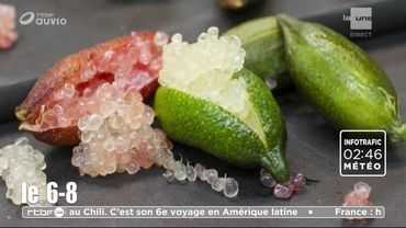Le citron caviar Le citron caviar