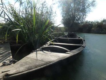 Escute, belle barque flamande en bois de chêne Escute, belle barque flamande en bois de chêne