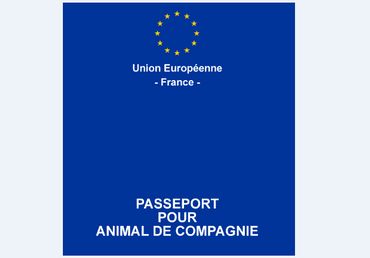 passeport européen français pour animal de compagnie passeport européen français pour animal de compagnie