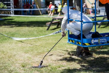 Rock Werchter: une partie de la plaine du festival évacuée à cause de chenilles processionnaires Rock Werchter: une partie de la plaine du festival évacuée à cause de chenilles processionnaires