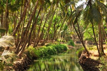 A Goa, la température peut atteindre 30 °C en décembre. A Goa, la température peut atteindre 30 °C en décembre.