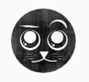 Chaîne youtube "chat sceptique" Chaîne youtube "chat sceptique"