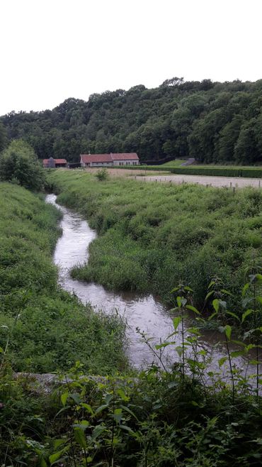 La Hantes est un affluent de la Sambre, qui prend naissance à Froidchapelle La Hantes est un affluent de la Sambre, qui prend naissance à Froidchapelle