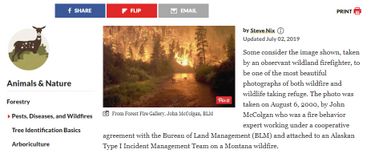 Cette photo a été prise par le photographe John McColgan le 6 août 2000 dans le Montana, aux Etats-Unis, dans la zone de la rivière Bitteroot Cette photo a été prise par le photographe John McColgan le 6 août 2000 dans le Montana, aux Etats-Unis, dans la zone de la rivière Bitteroot