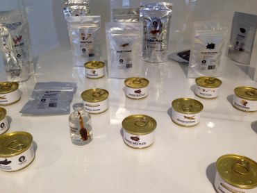 La Belgique est un des pionniers, en Europe, pour l’alimentation à base d’insectes La Belgique est un des pionniers, en Europe, pour l’alimentation à base d’insectes