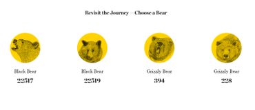 4 caméras permettent de suivre les péripéties de 2 ours et 2 grizzlys. En bas de chaque ursidé : le nombre d'internautes ayant vécu le récit avec tel ou tel ours. 4 caméras permettent de suivre les péripéties de 2 ours et 2 grizzlys. En bas de chaque ursidé : le nombre d'internautes ayant vécu le récit avec tel ou tel ours.