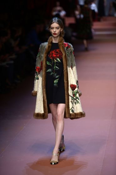 Dolce & Gabbana Dolce & Gabbana