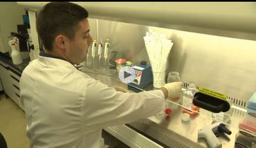 UCLouvain présente une bactérie qui limite les risques cardiovasculaires UCLouvain présente une bactérie qui limite les risques cardiovasculaires