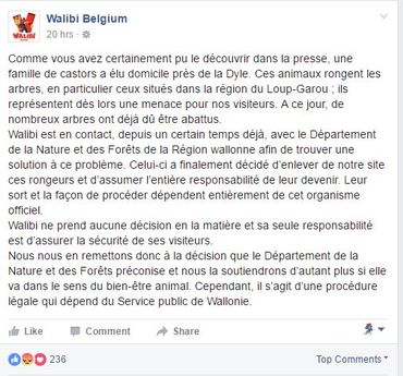 Vous n'avez rien suivi sur la polémique des castors près de Walibi? On vous explique Vous n'avez rien suivi sur la polémique des castors près de Walibi? On vous explique