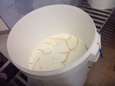 Tous les produits sont à base de lait cru, Tous les produits sont à base de lait cru,