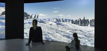 Antartica au Musée des Sciences Naturelles de Bruxelles Antartica au Musée des Sciences Naturelles de Bruxelles