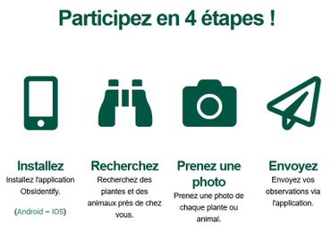 Partons en safari ce week-end dans nos jardins et sur nos balcons, avec le Jardin botanique de Meise Partons en safari ce week-end dans nos jardins et sur nos balcons, avec le Jardin botanique de Meise