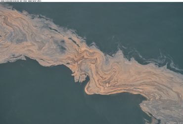 Floraison de Noctiluca¬ sur le banc de sable de Buitenratel, 15 août 2020, documenté depuis l’avion de surveillance de l’IRSNB Floraison de Noctiluca¬ sur le banc de sable de Buitenratel, 15 août 2020, documenté depuis l’avion de surveillance de l’IRSNB