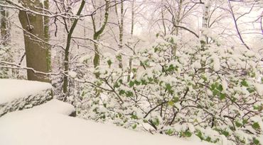 Une partie du parc autour de l'Abbaye de la Cambre sous la neige à Ixelles Une partie du parc autour de l'Abbaye de la Cambre sous la neige à Ixelles