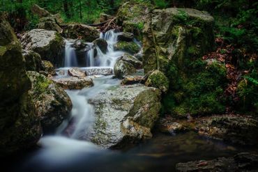Ce petit torrent sauvage qu’est le Ninglinspo arpente la vallée ardennaise de Vert-Buisson à Nonceveux, pour emmener les promeneurs dans un univers enchanteur de chemins escarpés et de curiosités Ce petit torrent sauvage qu’est le Ninglinspo arpente la vallée ardennaise de Vert-Buisson à Nonceveux, pour emmener les promeneurs dans un univers enchanteur de chemins escarpés et de curiosités