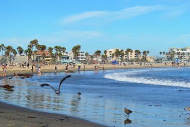 Venice Beach, Los Angeles, Etats-Unis Venice Beach, Los Angeles, Etats-Unis