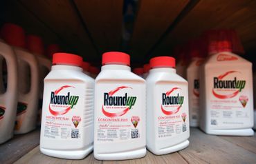 Des produits de la firme Monsanto Des produits de la firme Monsanto