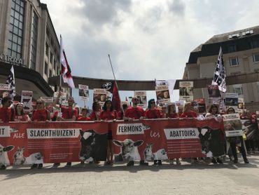 750 personnes participent à une marche pour la fermeture des abattoirs à Bruxelles 750 personnes participent à une marche pour la fermeture des abattoirs à Bruxelles