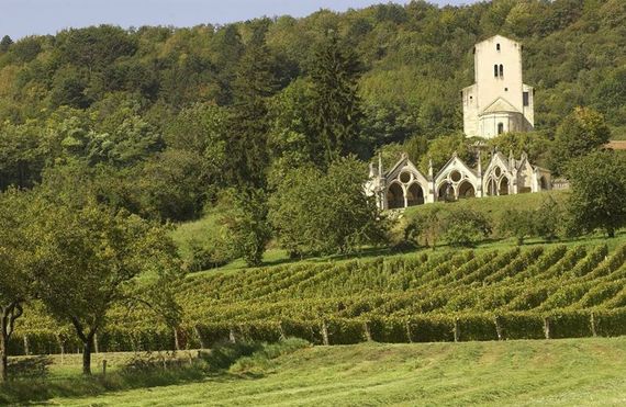 Un vignoble à taille humaine où l’on produit notamment les gris de Toul obtenus par pressage immédiat des cépages Gamay et Pinot noir. Un vignoble à taille humaine où l’on produit notamment les gris de Toul obtenus par pressage immédiat des cépages Gamay et Pinot noir.