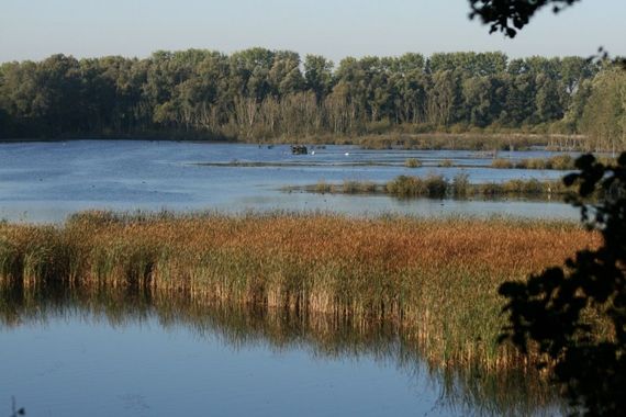 Situé au cœur de la vallée de la Lys, la Réserve Naturelle et Ornithologique, un site remarquable de 120 hectares est un régal pour les amateurs d’oiseaux. Situé au cœur de la vallée de la Lys, la Réserve Naturelle et Ornithologique, un site remarquable de 120 hectares est un régal pour les amateurs d’oiseaux.