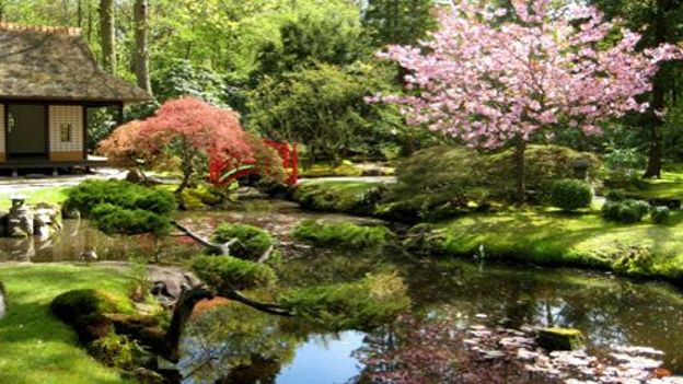 le jardin japonais clingendael à la haye / vidéo - rtbf jardins loisirs