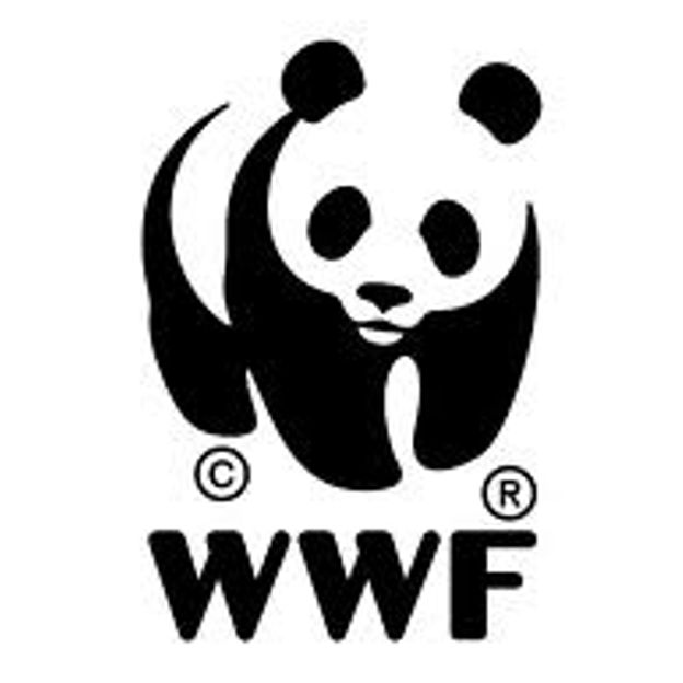 wwf wwf